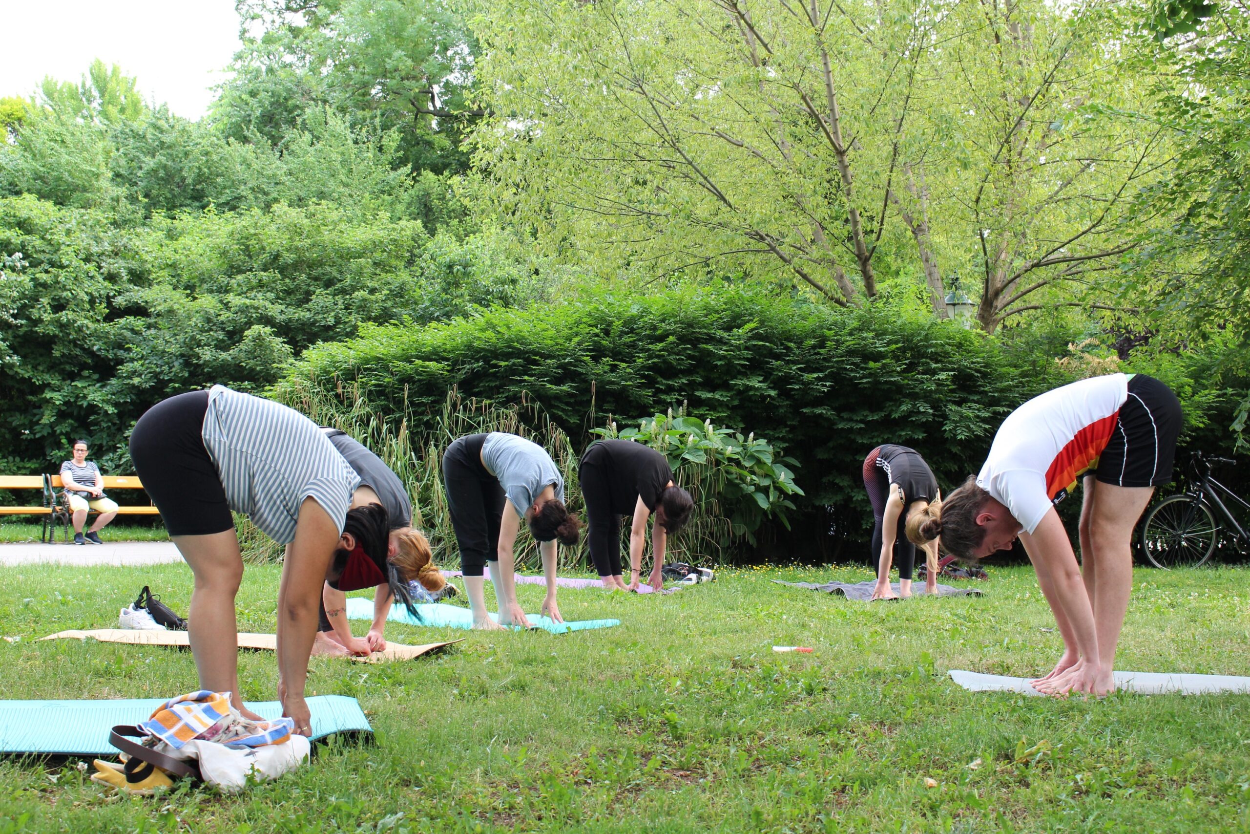 Open Yoga Vienna • Colors of Yoga